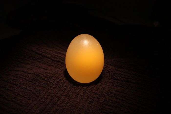 Яйце в оцтовій кислоті (12 фото)