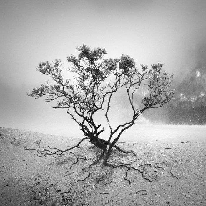 Красиві чорно-білі фотографії від Хенгки Коентжоро (30 фото)