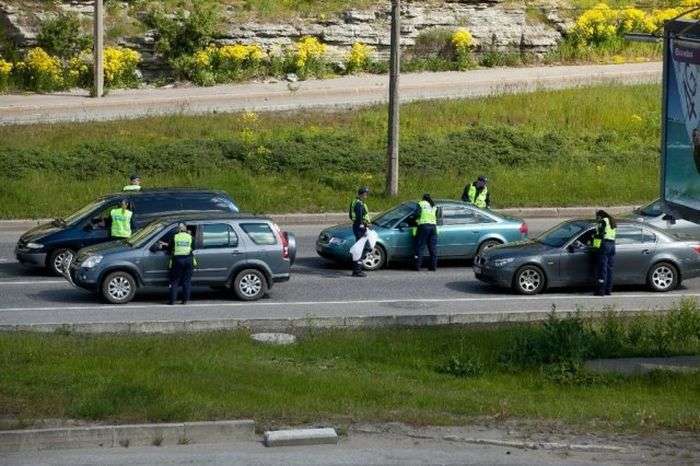Поліцейська акція в Талліні (12 фото)