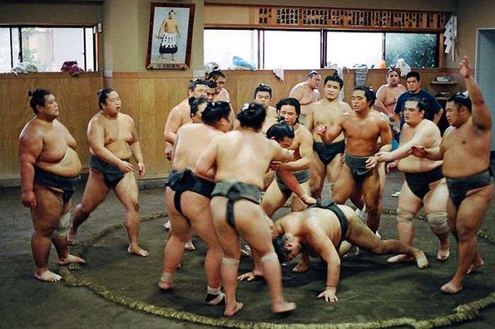 Повсякденне життя борців сумо (22 фото)