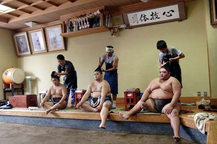 Повсякденне життя борців сумо (22 фото)