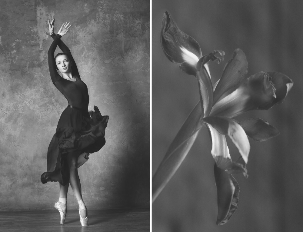 Балерина и цветы: фотосерия о сходстве двух изяществ Культура и искусство