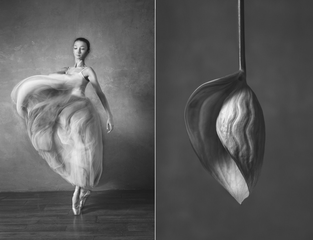 Балерина и цветы: фотосерия о сходстве двух изяществ Культура и искусство