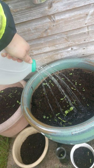 Как сделать полноценную садовую лейку из канистры за 2 минуты Самоделки