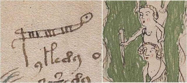 Бристольский ученый говорит, что расшифровал таинственный манускрипт Войнича Интересное