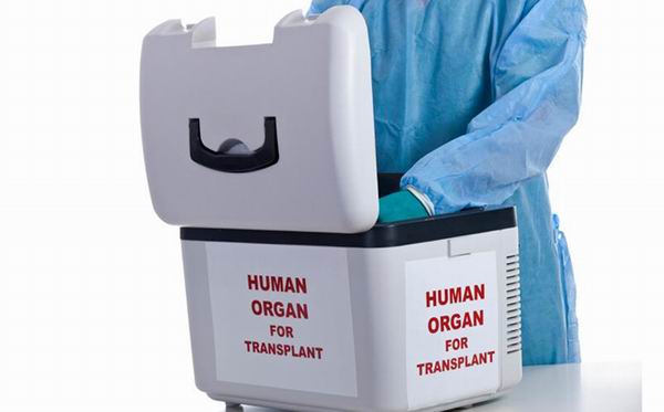 Продай почку, купи новый iPad!: 15 ужасных фактов о трансплантации органов Интересное