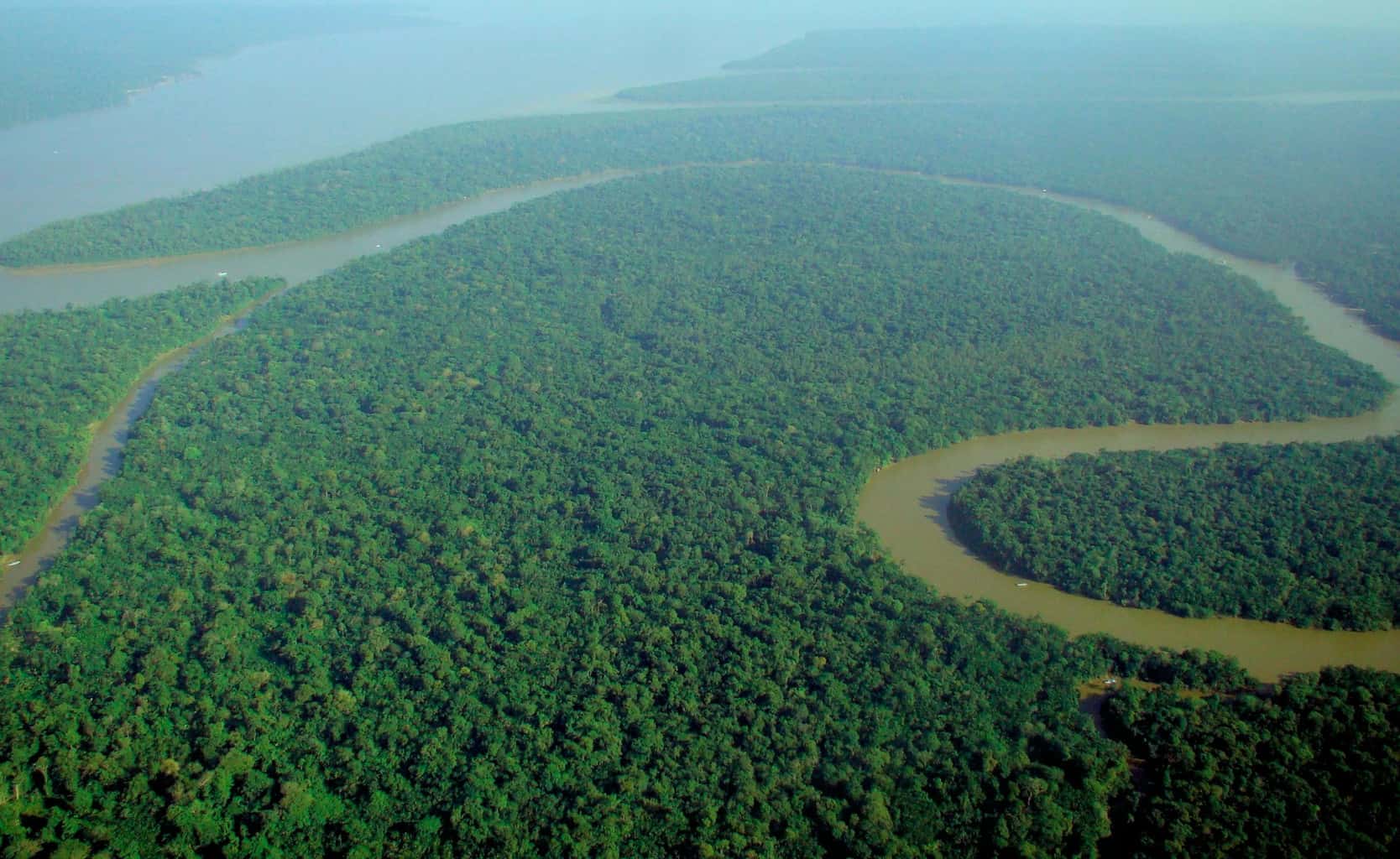 Амазонское племя через суд спасло миллионы гектаров леса 