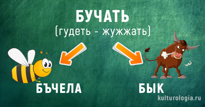 История появления современных русских слов 