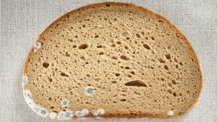 Элементарный способ, как сохранить хлеб свежим в 3 раза дольше домашний очаг,полезные советы,рукоделие,своими руками,умелые руки,хлеб