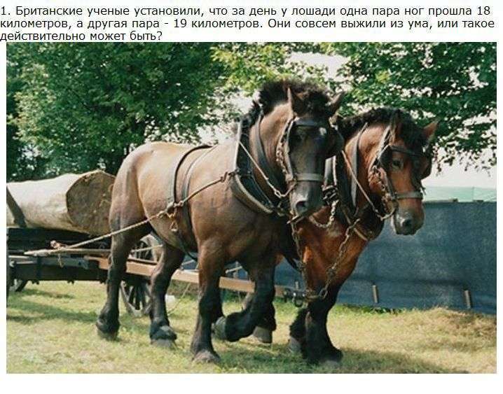 Розминка для мозку (14 фото + текст)