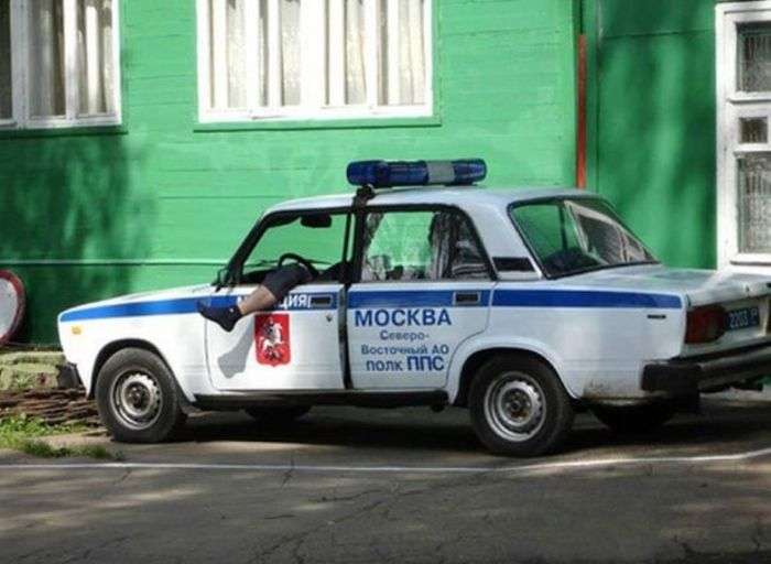 Спляча охорона (30 фото)