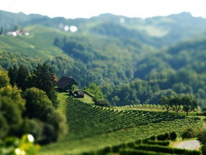 Фотографії з ефектом Tilt Shift (84 фото)