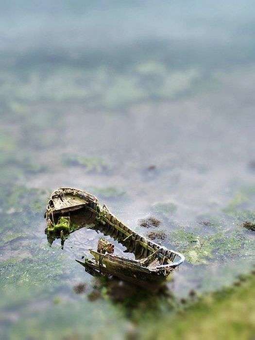 Фотографії з ефектом Tilt Shift (84 фото)