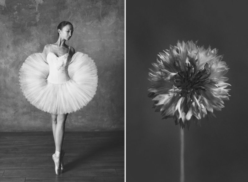 Балерина и цветы: фотосерия о сходстве двух изяществ Культура и искусство