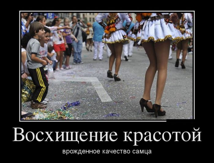 Забавные, веселые и смешные демотиваторы со смыслом из нашей жизни демотиваторы свежие,приколы,смешные демотиваторы,юмор