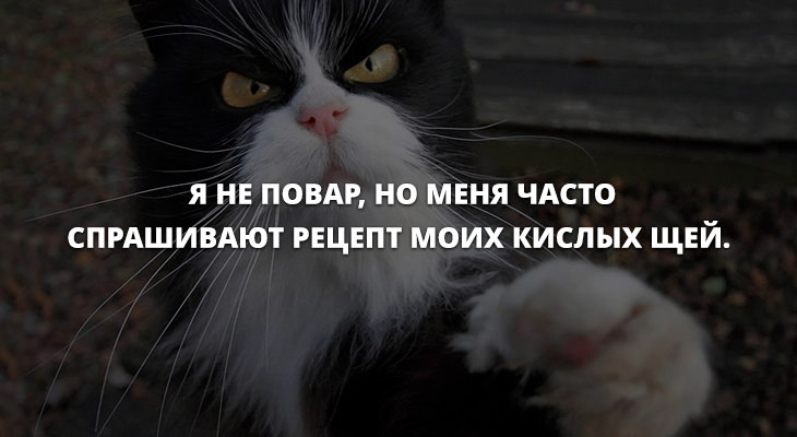Анекдоты дня юмор