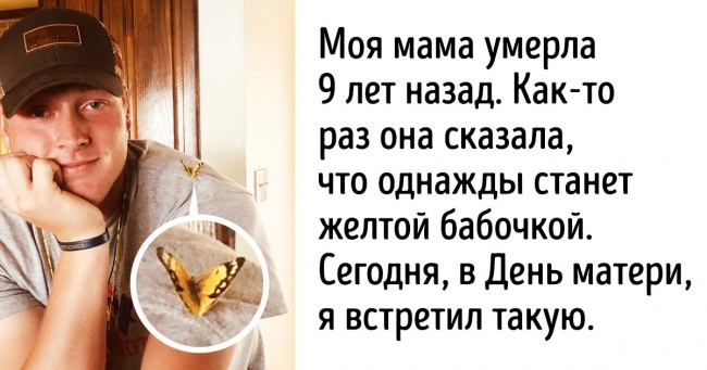 15 мощных фото, которые найдут кратчайший путь к вашему сердцу Интересное