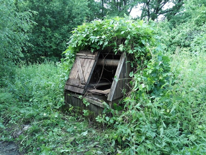 Зелёный ад 