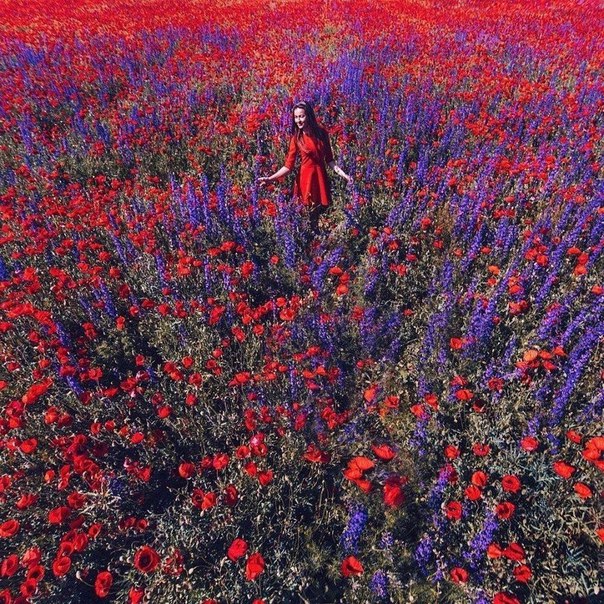Подборка прикольных фотографий и забавных картинок из сети красивые фотографии,прикольные картинки,угарные фотки,шикарные фотографии