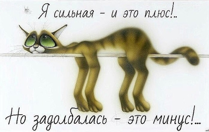 Только в России можно на вопрос: Чем занят? Услышать ответ: Да ничем, работаю анекдоты,демотиваторы,приколы,юмор
