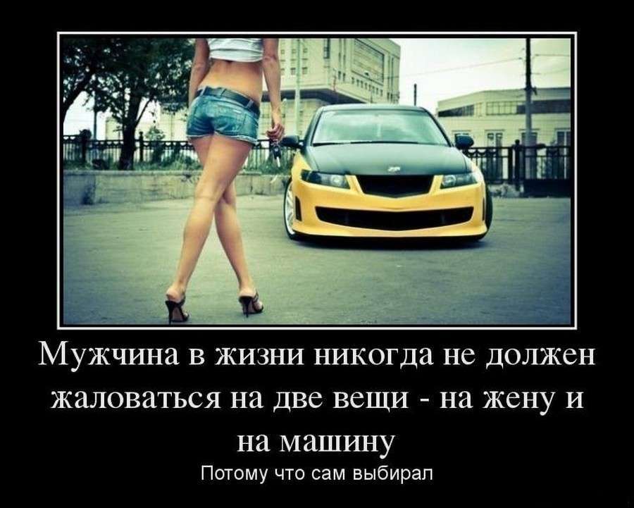 Из объяснительной: - Встал утром, глянул в зеркало - сам себя не узнал... весёлые, прикольные и забавные фотки и картинки, а так же анекдоты и приятное общение