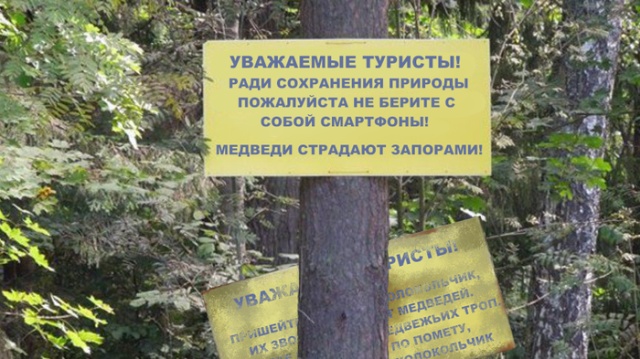 Подборка прикольных картинок смешные картинки