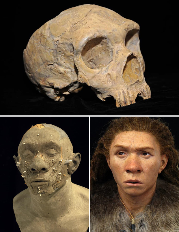 Учёный восстанавливает внешность людей, живших 1300 лет назад Изобретения,Разное,Человек