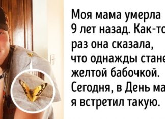 15 потужних фото, які знайдуть найкоротший шлях до вашого серця