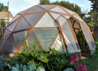 17 цікавих теплиць, зроблених з простих підручних матеріалів