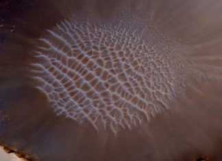 На Марсі зафіксували унікальний феномен