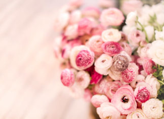 Продовжуємо життя зрізаним квітам: поради флористів