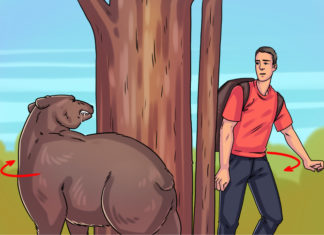 13 маловідомих фактів, знання яких одного разу може врятувати ваше життя