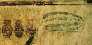 Аналіз ДНК підтвердив сміливу гіпотезу про Стародавньому Єгипті – кавуни родом звідти. Згадок про це не знайдено