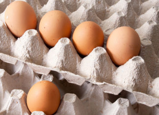 Коли покликали на шашлики,а митниця не в курсі: На кордоні з Росією затриманий фін з шістьма яйцями і маринадом