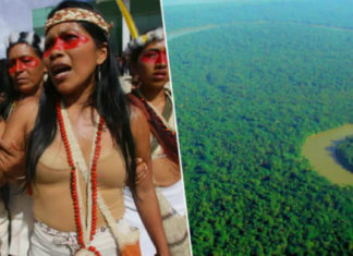 Амазонское племя через суд врятувало мільйони гектарів лісу