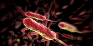 Смерть антибіотиків: ми позбавляємося ефективних ліків для боротьби з армією супербактерій