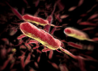 Смерть антибіотиків: ми позбавляємося ефективних ліків для боротьби з армією супербактерій