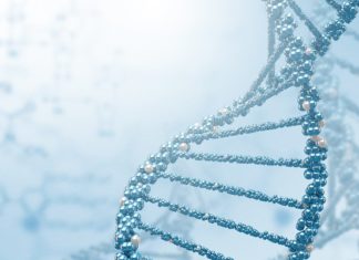 Як гени штовхають людей на революцію в чуже ліжко