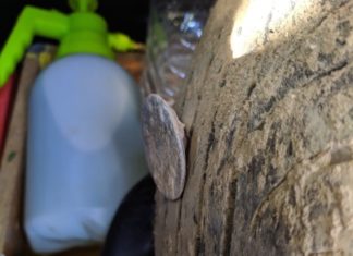 Зловив колесом цвях