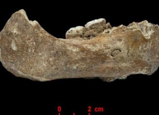 Денисовских людей знайшли в Тибеті