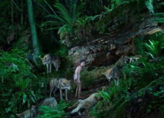 6 моторошних історій дітей, які виросли в дикій природі