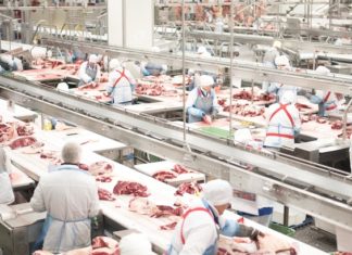 РФ отримала право на експорт молочної продукції, яловичини і яловичих субпродуктів в Алжир