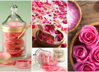 Як сушити пелюстки троянд