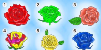 Як визначити характер людини за допомогою троянди