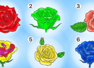 Як визначити характер людини за допомогою троянди