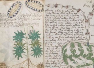 Брістольський вчений говорить, що розшифрував таємничий манускрипт Войнича