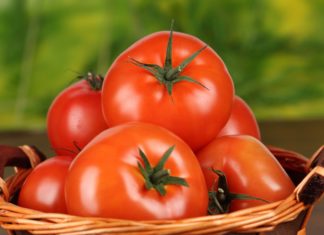 Типові питання та відповіді про помідори