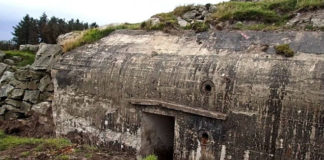 Реальний військовий бункер з гущавини лісу: знахідка чорних слідопитів