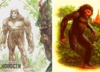 Камбоджійський єті Тек-Тек, якого бачили американські солдати