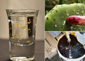 10 незвичайних інгредієнтів, які використовуються в сучасній харчовій промисловості